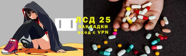 ECSTASY Алзамай