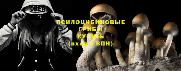 метамфетамин Алексеевка