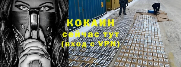 ECSTASY Алзамай